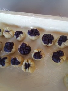 IMG_20260117_103659_974